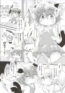 KZHsp~ちっちゃいらんちぇんとうみでえっちするほん~, 日本語