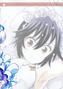 Nisenisekoi 7, 中文