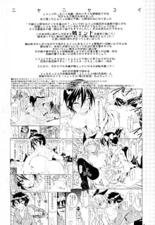 Nisenisekoi 7, 中文