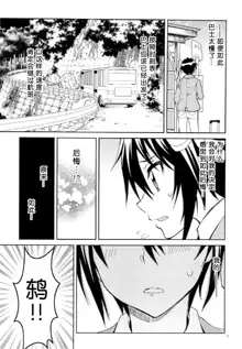 Nisenisekoi 7, 中文