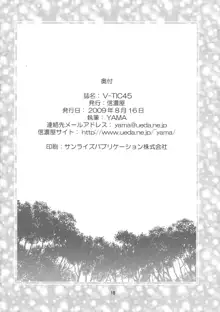 V-TIC 45, 日本語