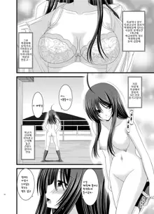 Roshutsu Shoujo Nikki 3 Satsume, 한국어