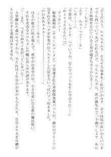 このパーティは呪われました～女戦士エマちゃんと○○○○な仲間たち～, 日本語