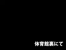 サキュバス学園, 日本語