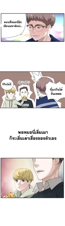 Tissue Thieves Ch. 01-38, ไทย