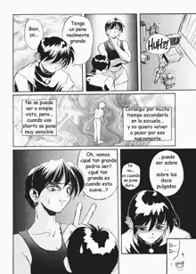 Secret Plot 3, Español