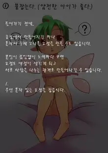 Onaho Yousei o Tsukurou | 오나홀 요정을 만들어보자!, 한국어