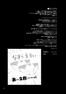 あたため上手の霊夢さん, 日本語