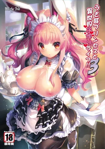 Usamimi Princess to Isekai Kozukuri Life!! 3, 中文