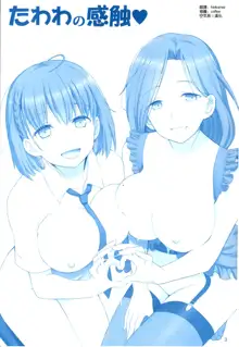 Tawawa no Kanshoku 4, 中文