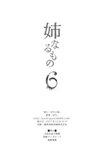 Ane Naru Mono 6, 中文