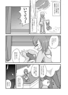 ポケモン漫画 破壊のディアンシー, 日本語