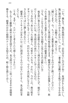 僕には家事妖精なメイドがいます, 日本語