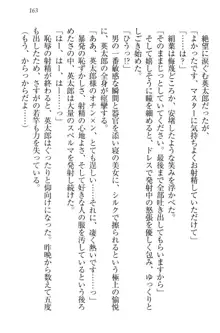 僕には家事妖精なメイドがいます, 日本語