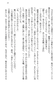 僕には家事妖精なメイドがいます, 日本語