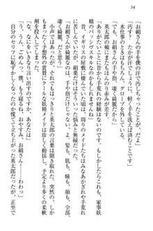 僕には家事妖精なメイドがいます, 日本語