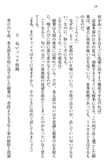 僕には家事妖精なメイドがいます, 日本語