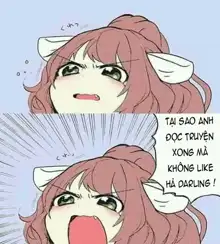 Satsuei no Ato wa Suki ni Shite ii yo ♪, Tiếng Việt