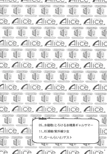 黒ギャル幻想郷まるきゅう！, 日本語