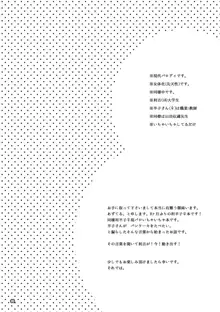 半子さんパンケーキはいかがですか？, 日本語