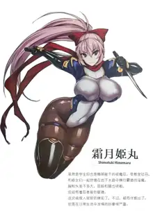 Futsumanin Hime Maru, 中文