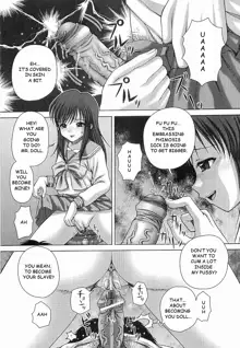 Bowin Ch. 5-8, English