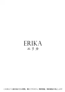 ERIKA, 中文