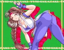 GRA-PRO Retro DoujinCG Set, 日本語