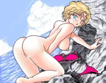 GRA-PRO Retro DoujinCG Set, 日本語