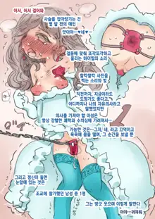 Shiawase na Kekkonshiki | 행복한 결혼식, 한국어