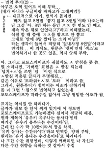 Yuuki Yuuna wa Juukan de Aru | 유키 유나는 수간러이다, 한국어