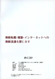 スケベ艦娘が濡れタオル わたしの躰で拭いて提督!!, 日本語