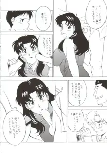 NEXT Climax Magazine 10 Evangelion, 日本語