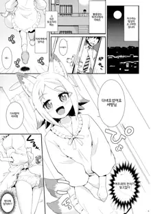 Kitsune-mimi no Onnanoko ga Isekai kara Kite Kureta sou desu yo!?, 한국어