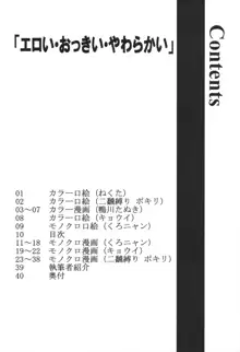 「エロい・おっきい・やわらかい」, 日本語