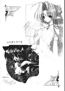 Ramiya Ryou Illustration Gengashuu 5, 日本語