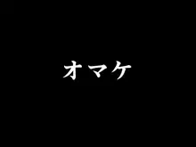 ラヴィニアちゃんと別ルートでイチャイチャしたい, 日本語