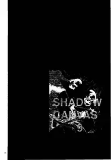 SHADOW CANVAS 9, 日本語