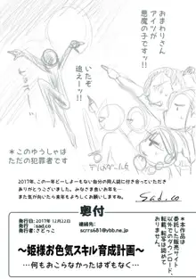 ～姫様お色気スキル育成計画～ …何もおこらなかったはずもなく…, 日本語