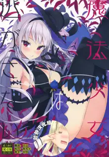 Mahou Shoujo wa Nigasanai, 中文