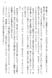 エロからかい上手のメイドさん, 日本語