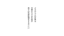 僕の彼女は性処理係 ～沢山ヌキヌキしてあげる～, 日本語