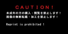 オトモダチのつくりかた!!, 日本語