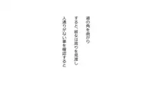 天然おっとり娘、完璧絶望寝取られ。前後編二本セット, 日本語