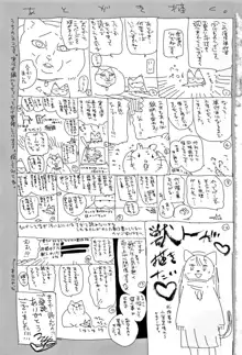 ばけものえっち + 8P小冊子, 日本語