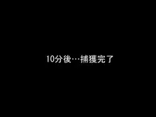 ゲームの世界に現実の人間がやって来た, 日本語