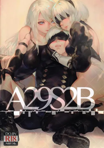 A29S2B, 中文