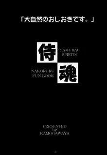 「大自然のおしおきです 。」3 Daishizen no Oshiokidesu 3, 日本語