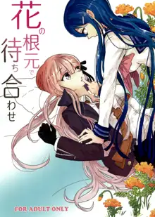 Hana no Nemoto de Machiawase | Meeting at the Root of All Flowers, English