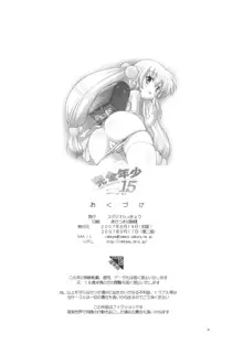 完全年少15, 日本語